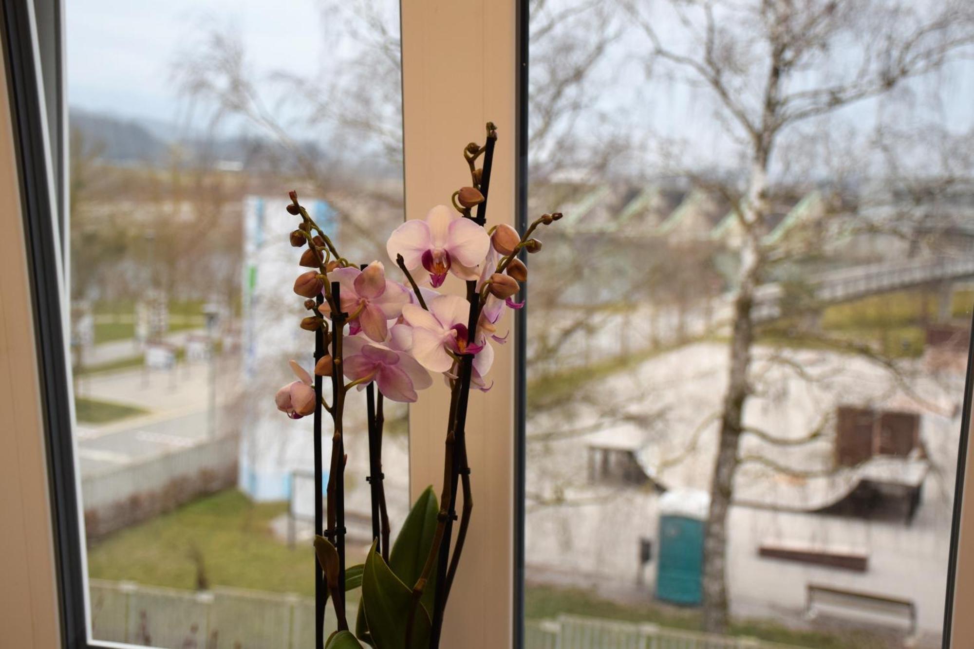 Guesthouse Pr'Sefu Брежице Номер фото